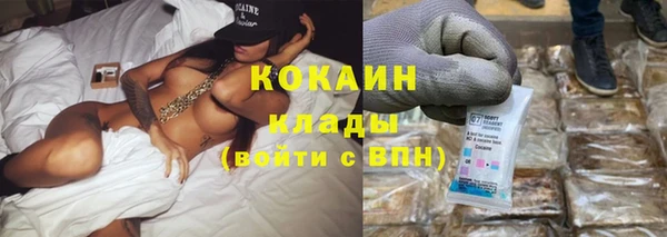 крисы Армянск
