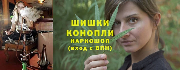 spice Арсеньев