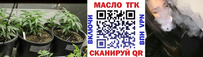 цена наркотик  мега как войти  Дистиллят ТГК THC oil  Зверево 