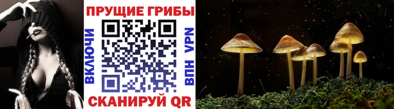 Псилоцибиновые грибы ЛСД Зверево