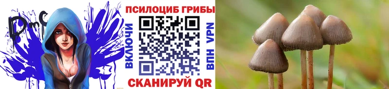 Галлюциногенные грибы GOLDEN TEACHER  Зверево 